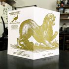 Sanders Gold Lion