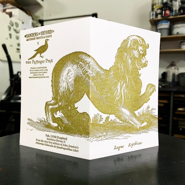 Sanders Gold Lion