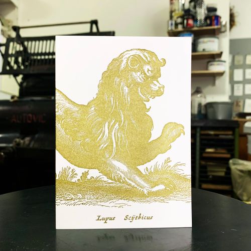 Sanders Gold Lion