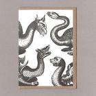Sanders Black Dragons