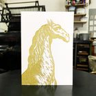 Sanders Gold Camelids
