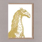 Sanders Gold Camelids