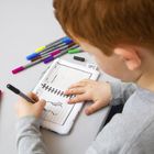 dinosaur pencil case