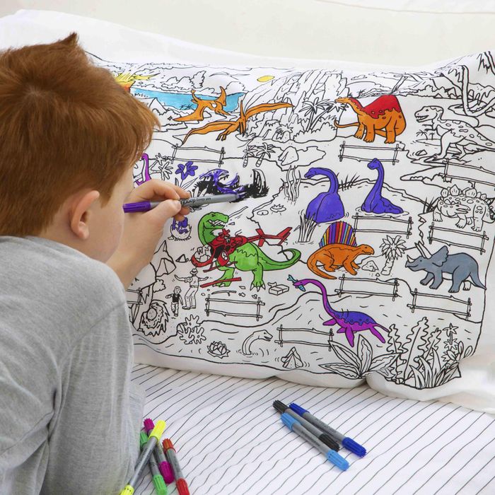 dinosaur pillowcase