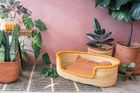 Pet Baskets