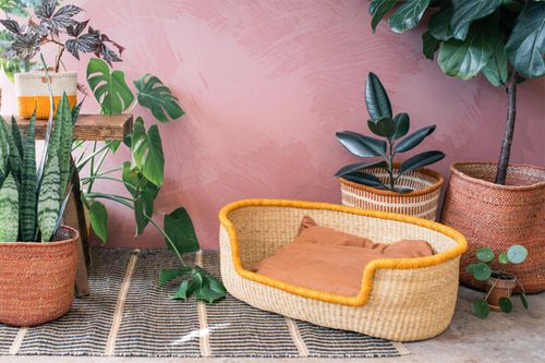 Pet Baskets