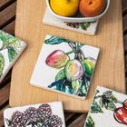Garden Fruits - Tile coaster collection