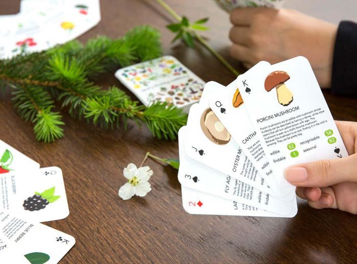 FORAGERS PLAYING CARDS