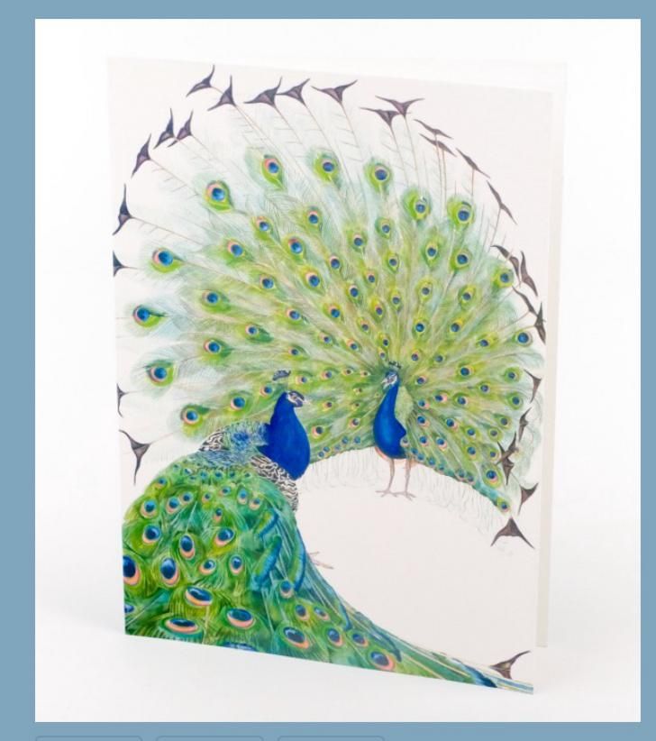Peacock Greeting Card