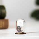Mini Book Library ornament