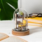 Paper Craft Kit for adults