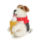 Salty Sea Dog Decorations