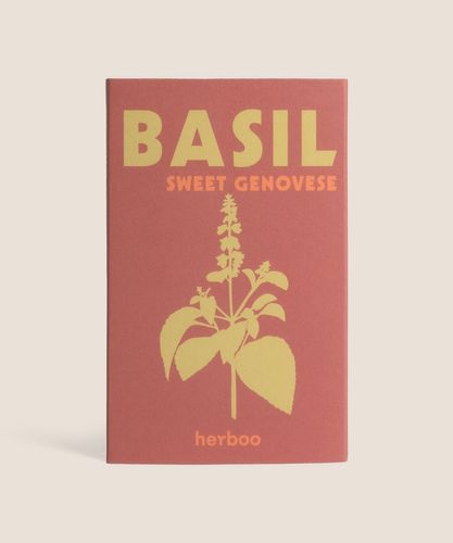 Basil 'Sweet Genovese' Seeds