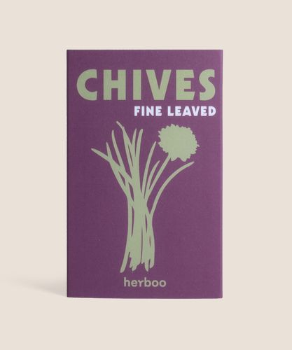 Chives Seeds