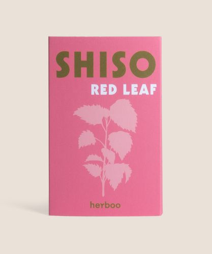 Red Shisho Seeds