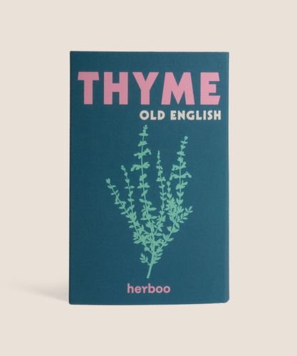 Thyme Seeds