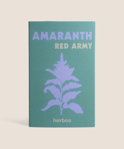 Amaranth 'Red Army' Seeds