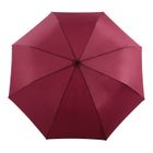 Cherry Compact Umbrella
