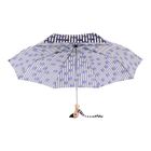 Polka Stripe Compact Umbrella