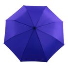 Royal Blue Compact Umbrella