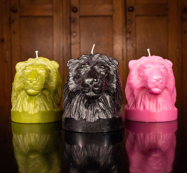 Animal Head Candle Collection