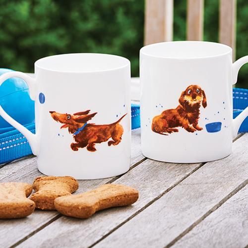 Daschund Dogs