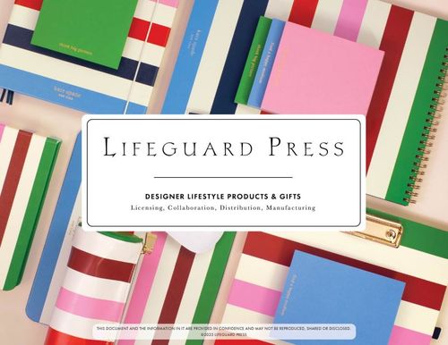Lifeguard Press + ban.do + Steel Mill & Co Brand Book