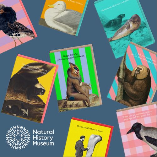 Ohh Deer collaborates with Natural History Museum