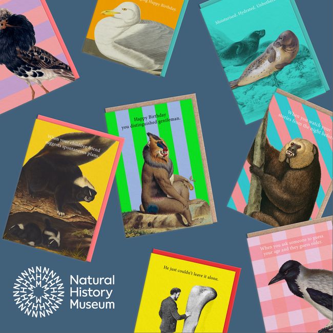 Ohh Deer collaborates with Natural History Museum