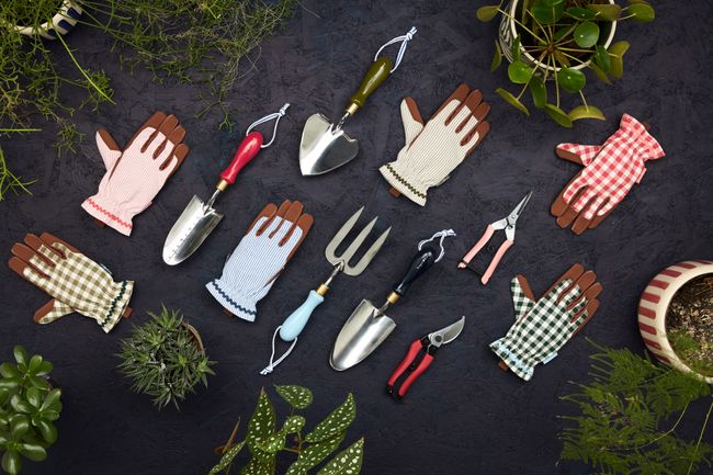 Curate, Collate, Create: the new Collector range from Burgon & Ball