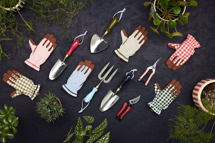 Curate, Collate, Create: the new Collector range from Burgon & Ball