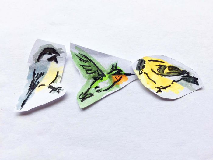 Alison Haddon's beautiful birds take flight