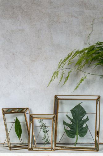 Dassie Artisan SS18 Launch