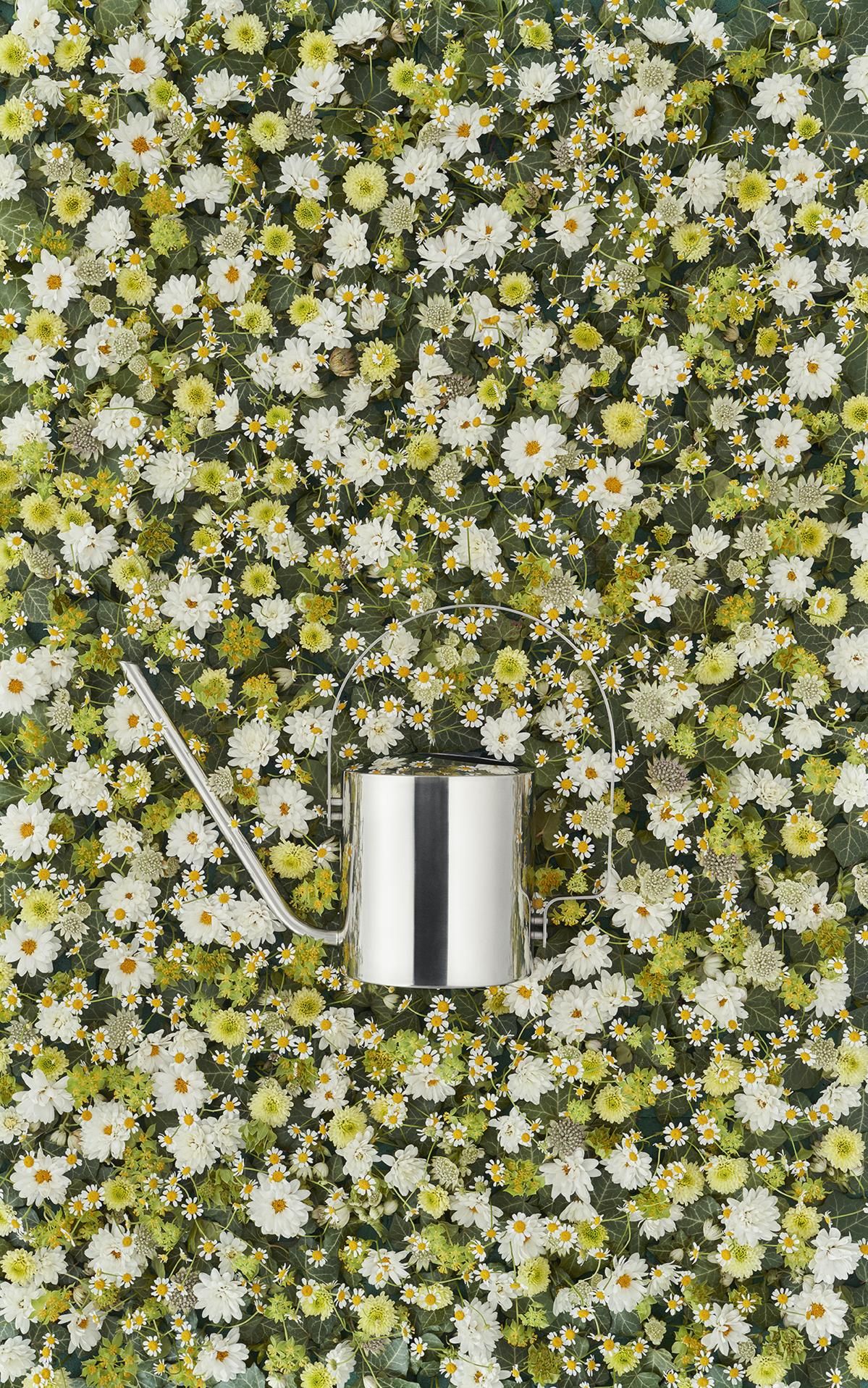 Stelton