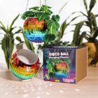 Disco Ball Hanging Planters - Rainbow Edition