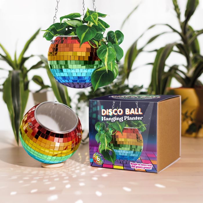 Disco Ball Hanging Planters - Rainbow Edition