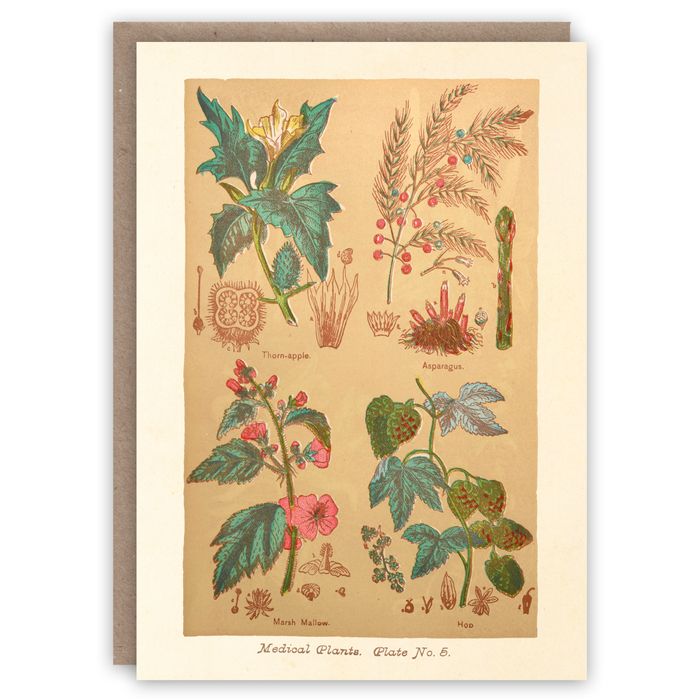 Greeting cards for nature lovers