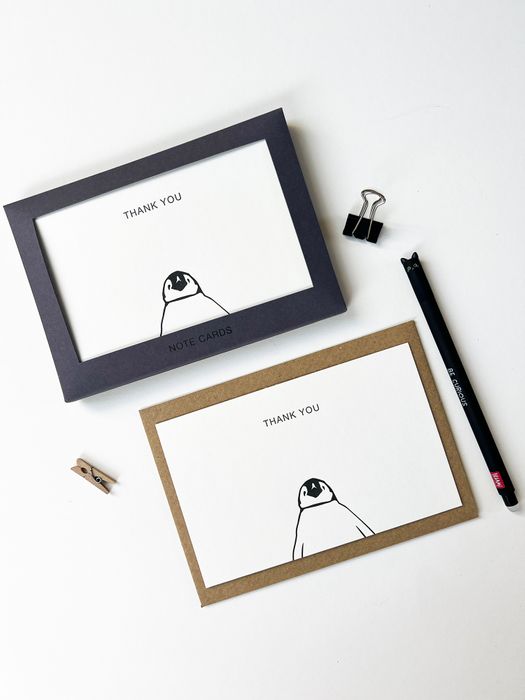 Boxed Letterpress Correspondence Notelets