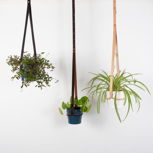 Ceiling Plant Hanger