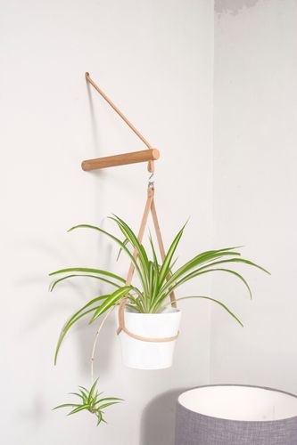 Peg Plant Hanger + Pot Holder