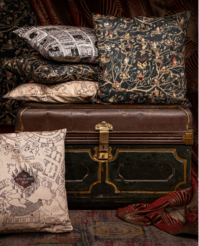 Wizarding World Cushion Covers