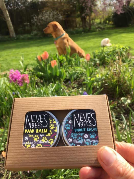 Neve's Bees Paw Balm