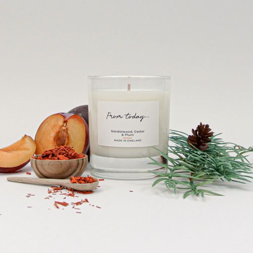 Sandalwood, Cedar & Plum Candle (One Wick)