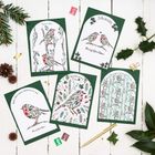 Poinsettia Robin Greetings Card Range