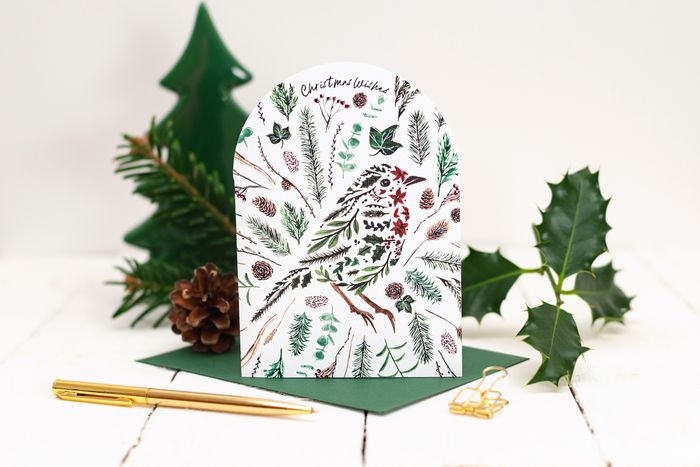 Poinsettia Robin Greetings Card Range