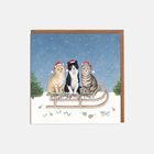 Merry & Bright Christmas Cards