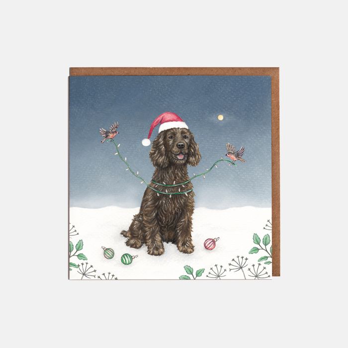 Merry & Bright Christmas Cards