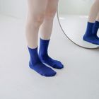 Silk Cotton Double-faced Socks / hakne