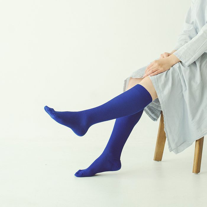 Silk Ribbed High Socks / hakne