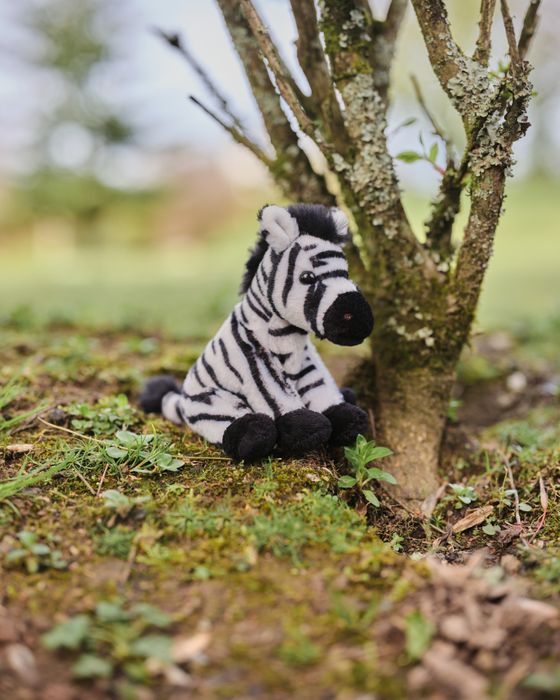 Cuddle Cub Zebra